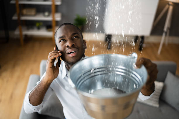 Best Ceiling water damage repair  in Santa Fe, TX