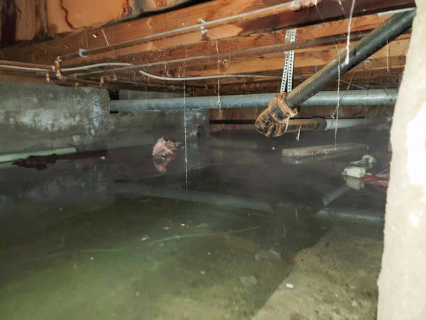 Best Water damage restoration near me  in Santa Fe, TX