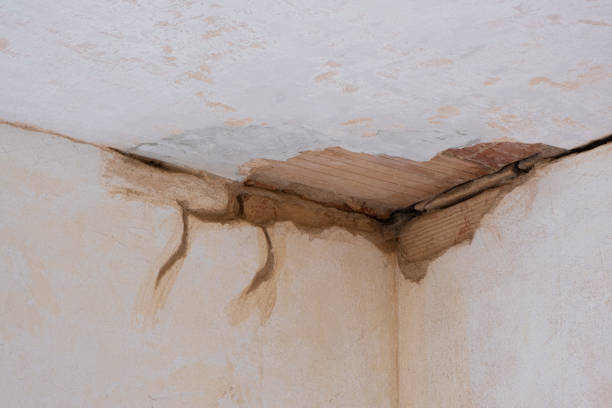 Best Carpet water damage restoration  in Santa Fe, TX