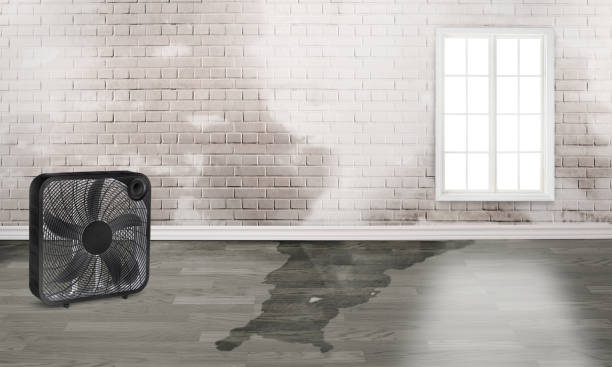 Best 24-hour water damage restoration  in Santa Fe, TX