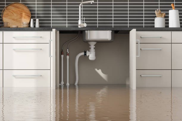 Best 24-hour water damage restoration  in Santa Fe, TX
