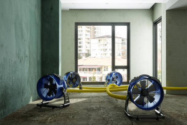Best Mold removal after water damage  in Santa Fe, TX