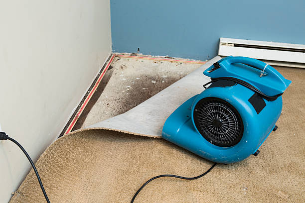 Best Professional water damage repair  in Santa Fe, TX